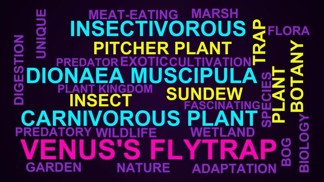 Venus'S Flytrap Word Cloud