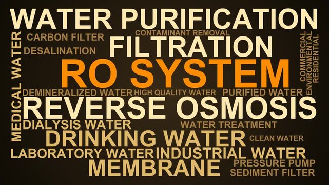 Ro System Word Cloud