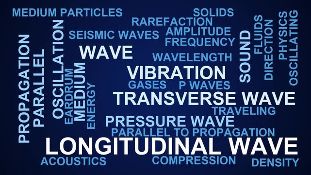 Longitudinal Wave Word Cloud