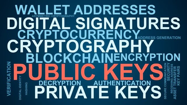 Public Keys Word Cloud