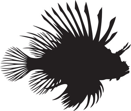 Spiny lionfish swims toward the right in this bold black vector silhouette isolated on white.