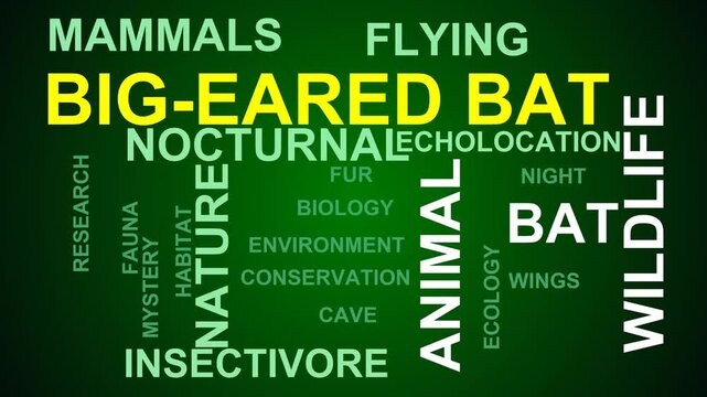 Big-Eared Bat Word Cloud