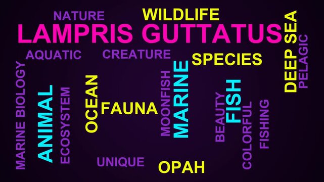 Lampris Guttatus Word Cloud