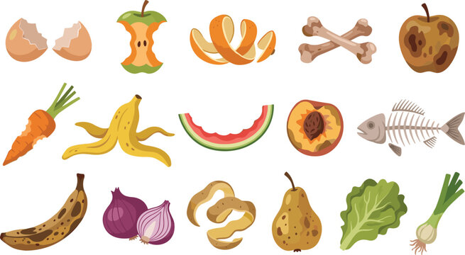 food waste vector illustration with rotten fruits vegetable scraps and compost elements isolated on white backgroundet
