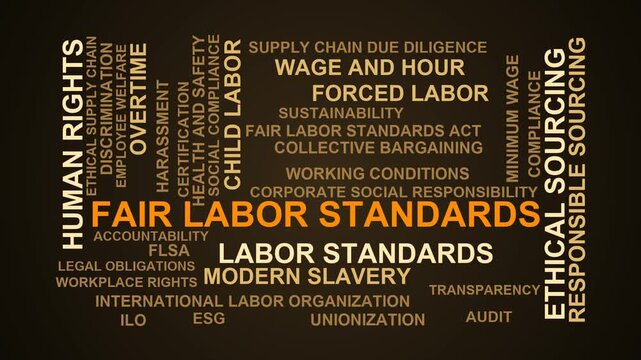 Fair Labor Standards Word Cloud