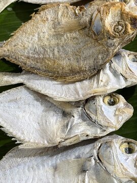 Close up traditional Asian dried salted fish or ponyfish Leiognathidae stacked on banana leaves, ready for cooking, seafood ingredient background