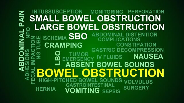 Bowel Obstruction Word Cloud