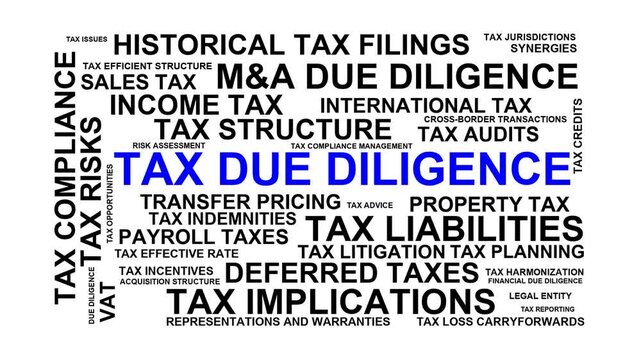 Tax Due Diligence Word Cloud