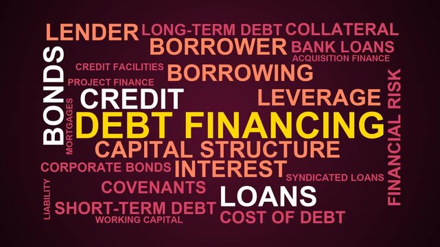 Debt Financing Word Cloud