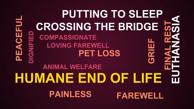 Humane End Of Life Word Cloud