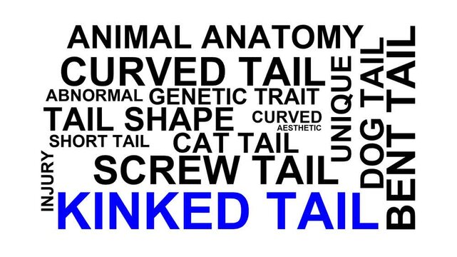 Kinked Tail Word Cloud