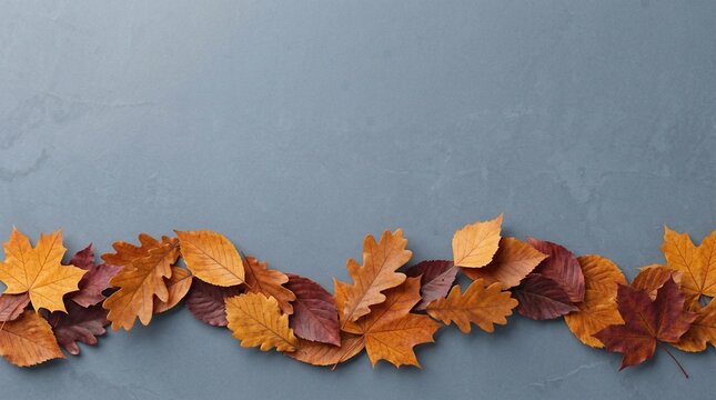 Autumn Leaves Arranged on a Textured Stone Background. Fall Foliage Display with Warm Colors