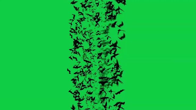 Vertical black splatter grunge texture streak moving rapidly over a keyable green screen background