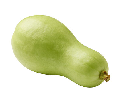Fresh green bottle gourd isolated on transparent background