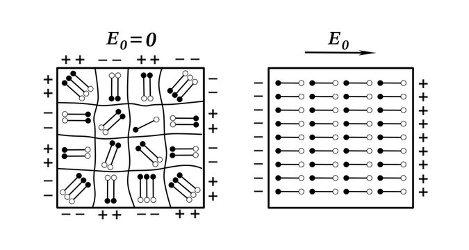 Scientific diagram illustrating ferroelectric domains with aligned and oppositely oriented spontaneous polarization vectors separated by domain walls.