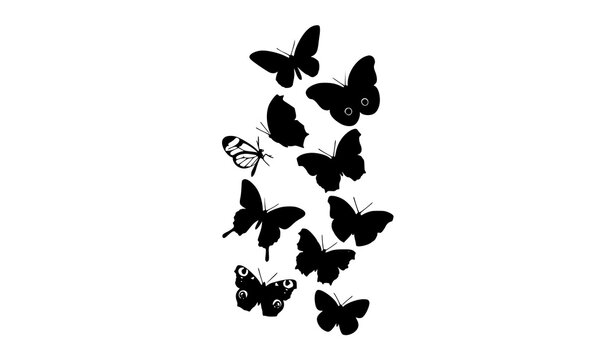 Black Butterfly Wing Silhouette Vector Collection with Unique Insect Shapes