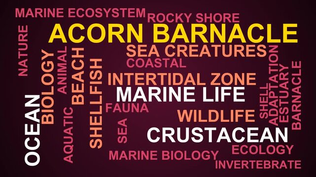 Acorn Barnacle Word Cloud