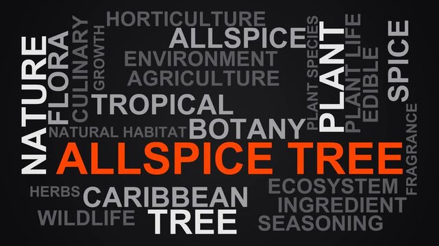 Allspice Tree Word Cloud