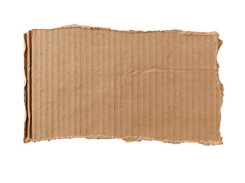 A piece of torn corrugated cardboard isolated on transparent background