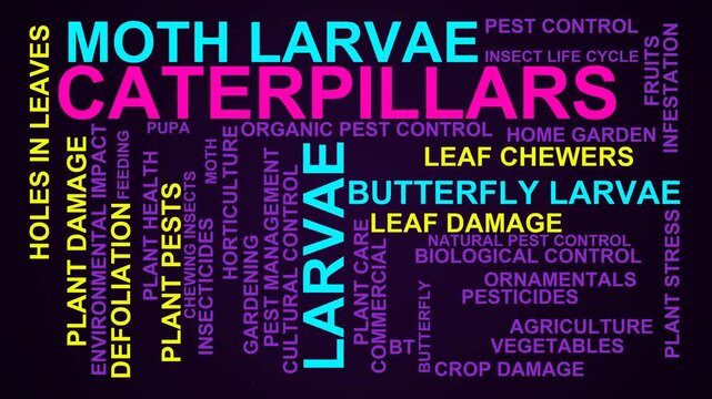 Caterpillars Word Cloud