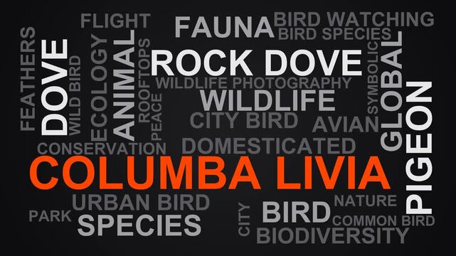 Columba Livia Word Cloud