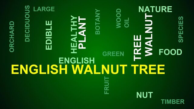 English Walnut Tree Word Cloud