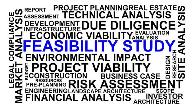 Feasibility Study Word Cloud