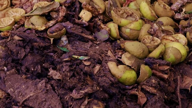 A rich organic fruit compost pile is actively turned and mixed with shovels and rakes, captured with a dynamic traveling shot. This process is integral to the project's sustainable waste
