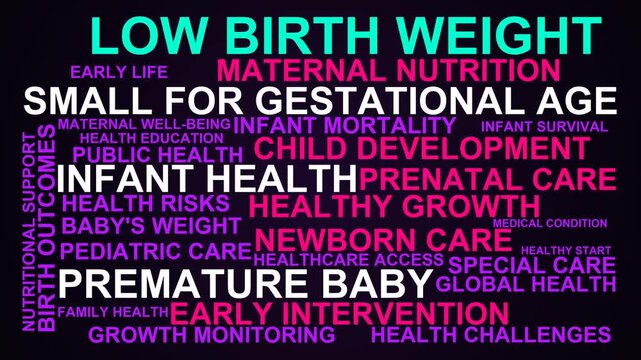 Low Birth Weight Word Cloud