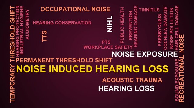 Noise Induced Hearing Loss Word Cloud