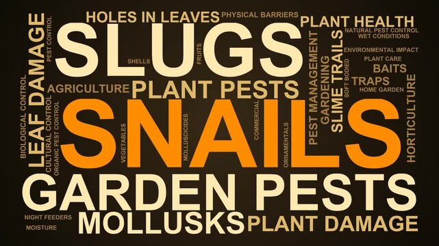 Snails Word Cloud