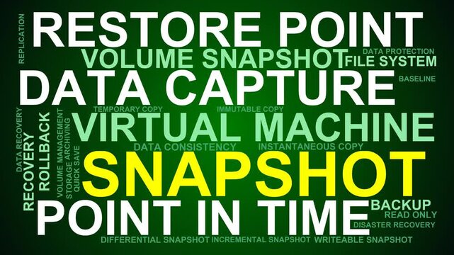 Snapshot Word Cloud