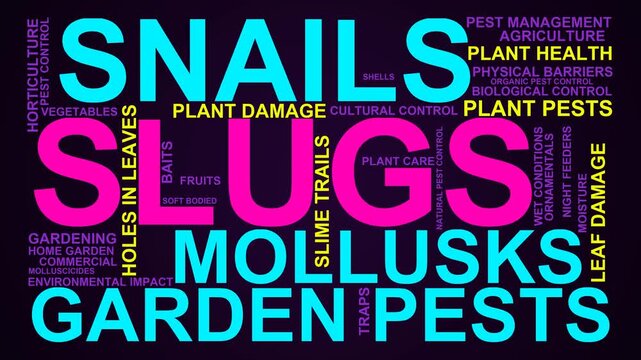 Slugs Word Cloud