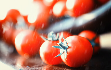 Fresh farm cherry tomatoes on a wooden background after the rain. © alexkich