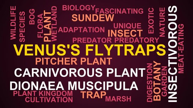 Venus'S Flytraps Word Cloud
