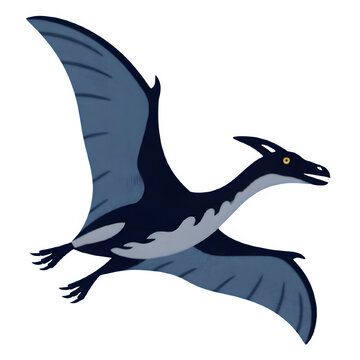 A sleek and dynamic dark blue vector silhouette of a pterodactyl flying in profile, featuring sharp wings and a crest, isolated on a clean white background.