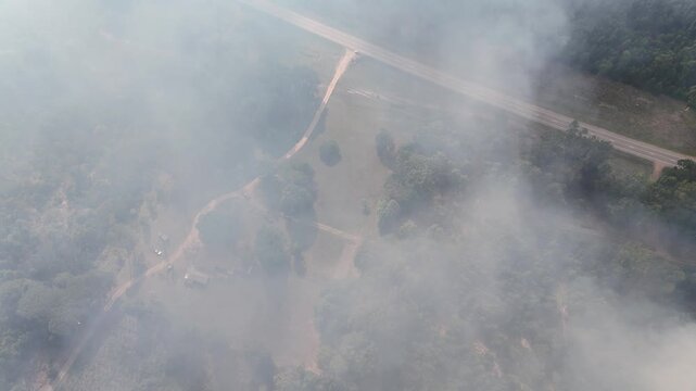 Dense white smoke blankets forest and winding dirt paths near Laguna Negra in Rocha, Uruguay, straight highway cuts through smoke-covered trees beneath hazy grey sky. Aerial drone top down shot
