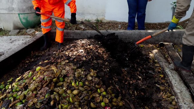 Unrecognizable workers wearing safety gear stir a large pile of organic waste using shovels and rakes, contributing to a sustainable agribusiness and waste management system.