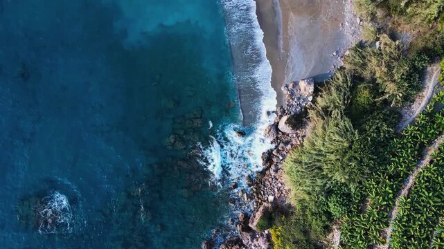 Waves break across a sandy beach bordered by green vegetation along a marine margin.