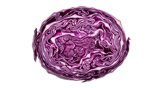 Vibrant purple red cabbage half, freshly cut and displaying its intricate inner layers, isolated on a clean white background