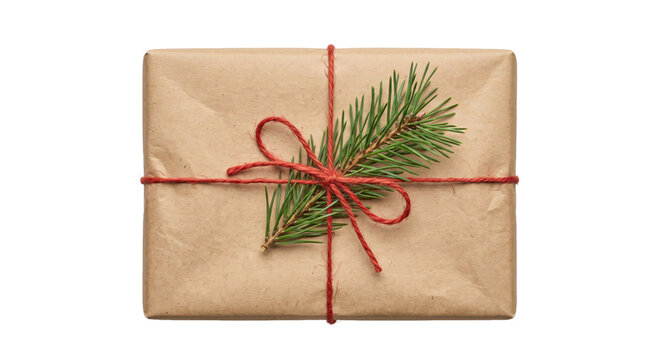Simple brown paper gift box tied with red string and a fresh pine branch on a white background