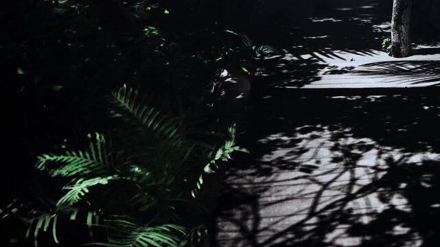 A serene garden pathway is illuminated by soft moonlight. Shadows of leaves and plants create intricate patterns on the ground, blending nature with tranquility during a quiet night.