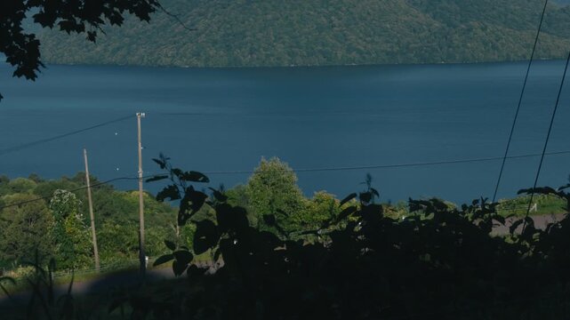 Deep blue lake viewed through silhouetted grass from the shade of trees overlooking a sloping road
