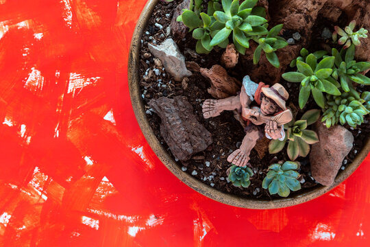 Tiny succulents grow in dark, earthy soil. Pet rocks and miniature figures sit beside them. Bright orange background contrasts the scene. Surreal, whimsical charm fills the composition