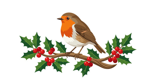 Robin bird perched on a festive holly branch with red berries