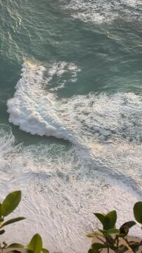 Waves crashing on a sandy beach with green foliage in the foreground. The ocean water is clear and blue, reflecting sunlight.