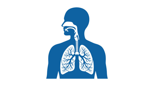 Blue Human Respiratory System Anatomy Illustration Showing Lungs and Trachea on Black Background Medical Science Vector Graphic