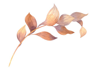 Watercolor branch with warm brown leaves and visible leaf veins isolated, horizontal botanical illustration for seasonal greeting cards, fabric, decoration and design. © Nataliia