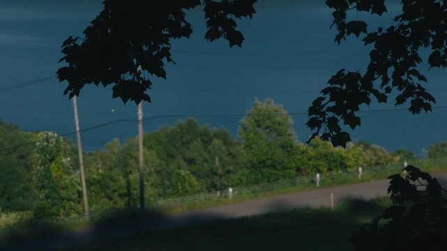 Downhill Road with Utility Pole Overlooking Lake from Mountain Shadow
