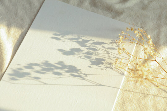 White blank canvases for painting with sunlight on fabric background. Creative, hobby concept.